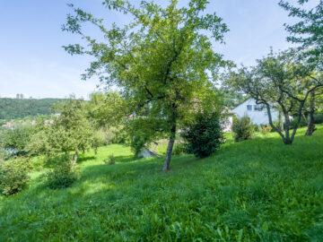 Baugrundstück in toller Lage mit Weitblick - Bild