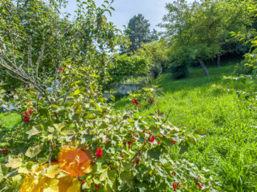 Baugrundstück in toller Lage mit Weitblick - Bild